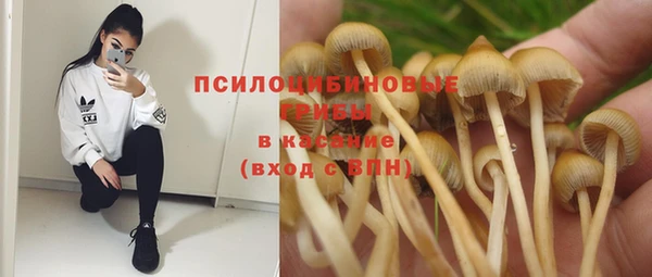 PSILOCYBIN Абдулино
