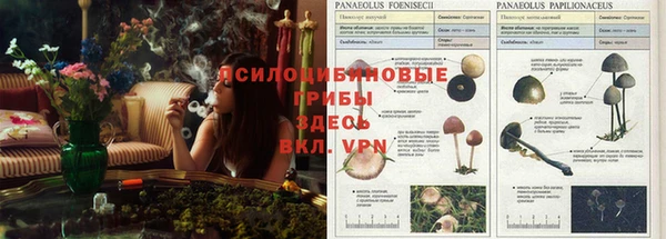 герыч Сафоново