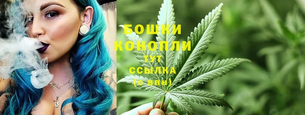 соль ск Саяногорск