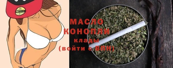 гашик Сатка